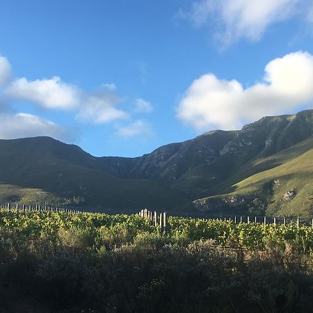 Willa Misty Mountains Hermanus Zewnętrze zdjęcie