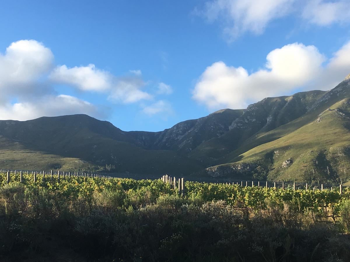 Willa Misty Mountains Hermanus Zewnętrze zdjęcie