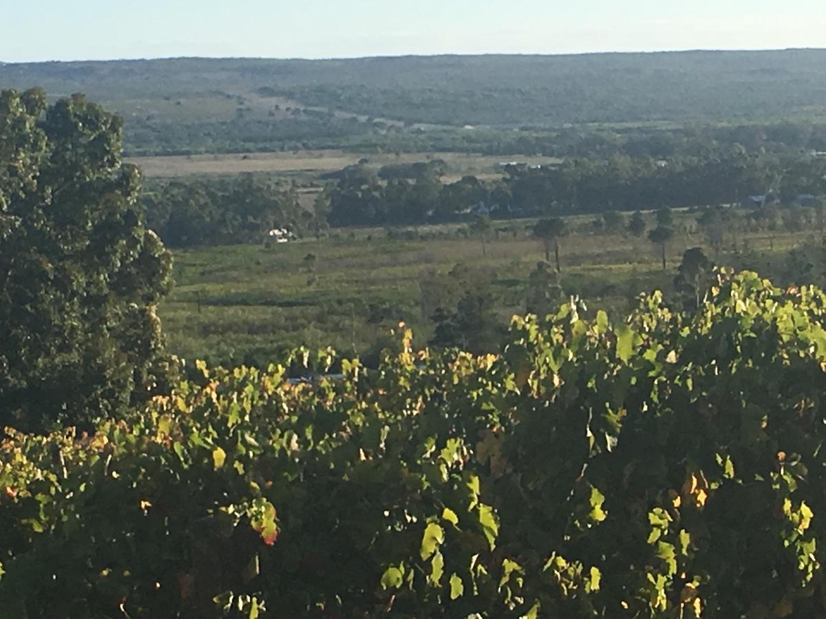 Willa Misty Mountains Hermanus Zewnętrze zdjęcie